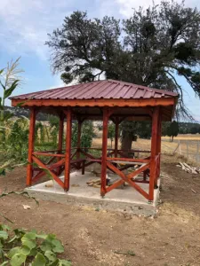 Foto 5